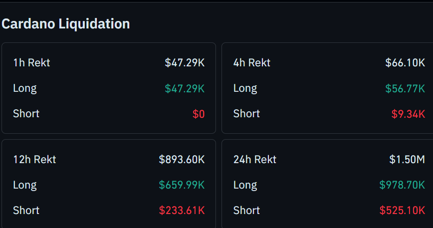 Cardano Liquidation