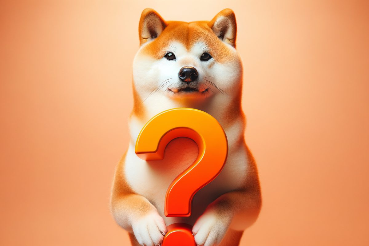 是时候放弃柴犬了吗？还是说你仍然有机会成功？