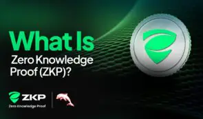 如何理解零知识证明：面向完全初学者的零知识证明分步指南