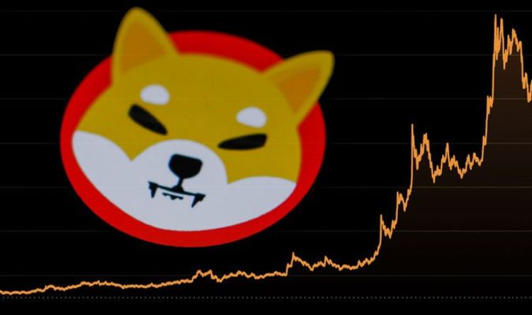 Shiba Inu Soaring