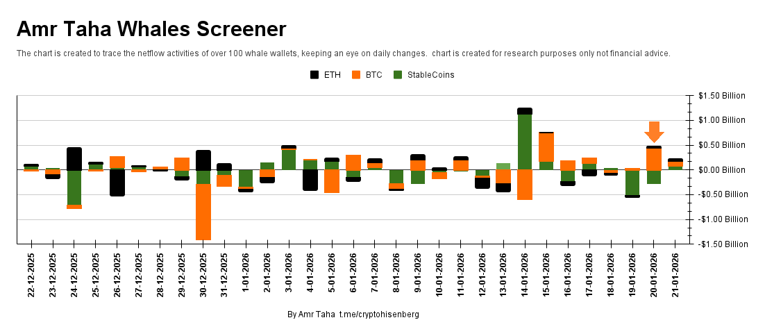 Whale Screener Whale Screener
