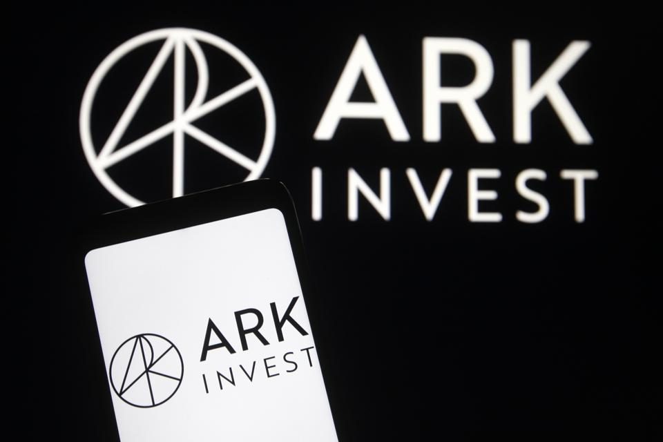Cathie Wood Ark Invest