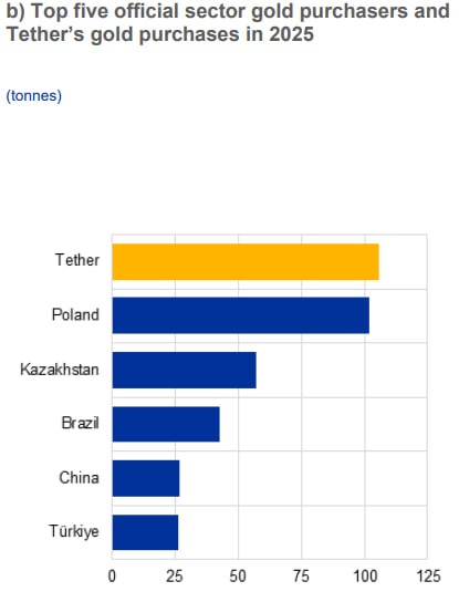 Tether and major countries' 2025 gold purchases. Source: ECB report