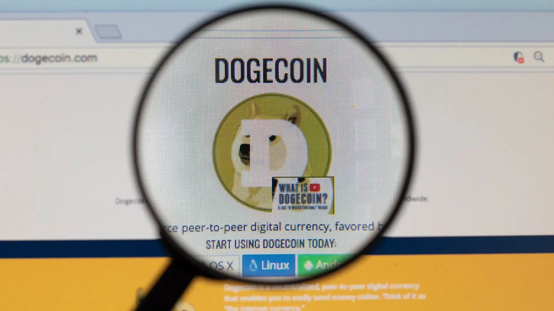 web3: DOGE杠杆押注升至年内高位，价格仍徘徊7美分